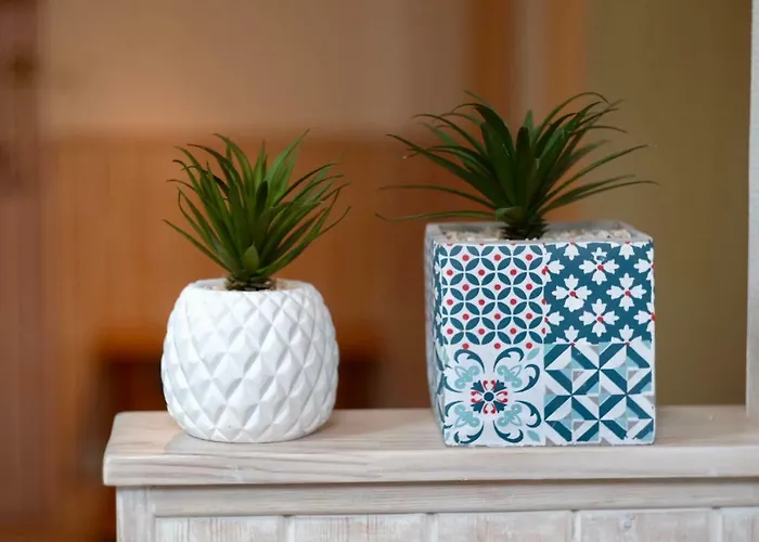 Confort, En Face Du Campus 1 Et Du Tramway 公寓 凯恩